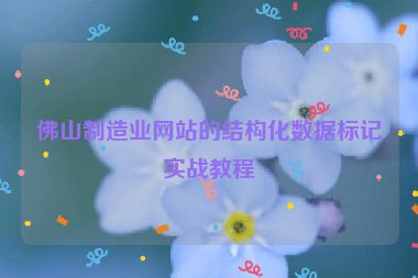 佛山制造業(yè)網(wǎng)站的結(jié)構(gòu)化數(shù)據(jù)標(biāo)記實戰(zhàn)教程