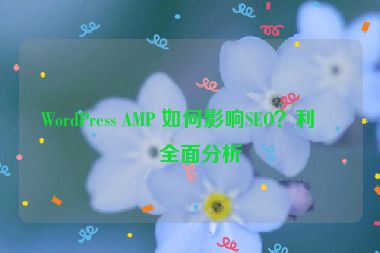 WordPress AMP 如何影響SEO？利弊全面分析