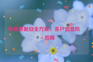 電商數(shù)據(jù)安全方案，客戶信息防護(hù)指南