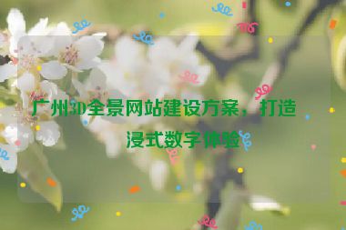 廣州3D全景網(wǎng)站建設(shè)方案，打造沉浸式數(shù)字體驗