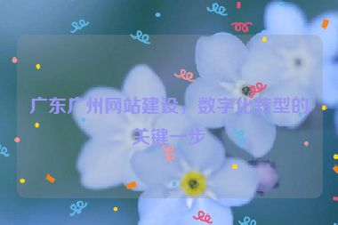 廣東廣州網(wǎng)站建設(shè)，數(shù)字化轉(zhuǎn)型的關(guān)鍵一步
