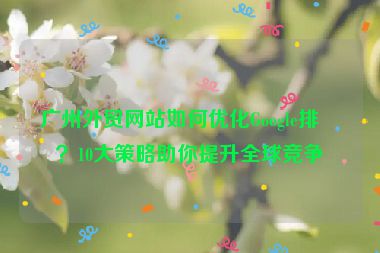 廣州外貿(mào)網(wǎng)站如何優(yōu)化Google排名？10大策略助你提升全球競爭力