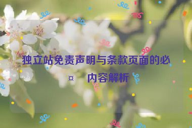 獨(dú)立站免責(zé)聲明與條款頁面的必備內(nèi)容解析