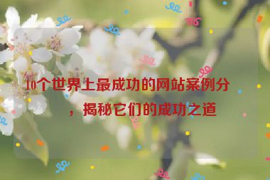10個世界上最成功的網(wǎng)站案例分析，揭秘它們的成功之道