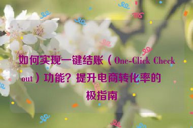 如何實現(xiàn)一鍵結(jié)賬（One-Click Checkout）功能？提升電商轉(zhuǎn)化率的終極指南