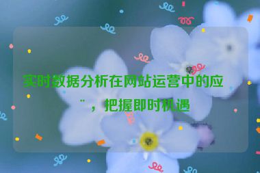 實時數(shù)據(jù)分析在網(wǎng)站運營中的應(yīng)用，把握即時機遇