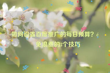 如何設(shè)置百度推廣的每日預(yù)算？避免浪費(fèi)的3個(gè)技巧