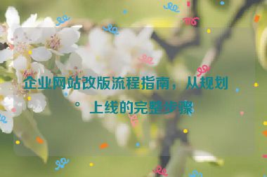 企業(yè)網(wǎng)站改版流程指南，從規(guī)劃到上線的完整步驟