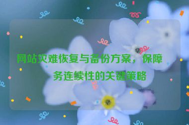 網(wǎng)站災(zāi)難恢復(fù)與備份方案，保障業(yè)務(wù)連續(xù)性的關(guān)鍵策略