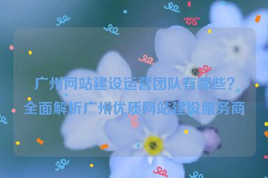 廣州網(wǎng)站建設(shè)運(yùn)營(yíng)團(tuán)隊(duì)有哪些？全面解析廣州優(yōu)質(zhì)網(wǎng)站建設(shè)服務(wù)商