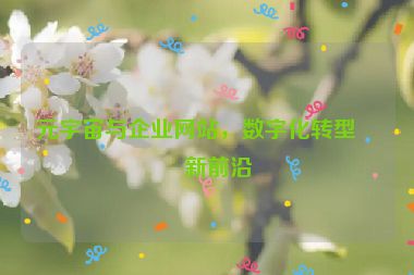 元宇宙與企業(yè)網(wǎng)站，數(shù)字化轉(zhuǎn)型的新前沿