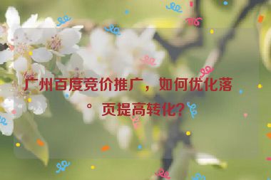 廣州百度競價推廣，如何優(yōu)化落地頁提高轉化？