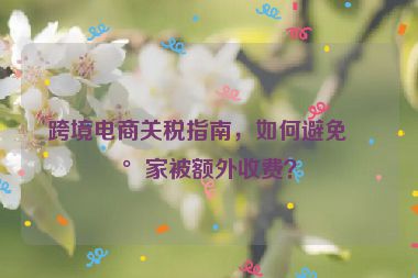 跨境電商關(guān)稅指南，如何避免買家被額外收費？