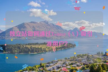 獨立站如何通過Twitter（X）吸引精準(zhǔn)用戶？