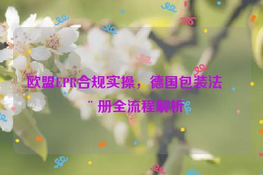 歐盟EPR合規(guī)實(shí)操，德國(guó)包裝法注冊(cè)全流程解析