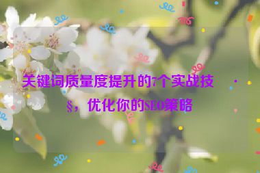 關鍵詞質量度提升的7個實戰(zhàn)技巧，優(yōu)化你的SEO策略