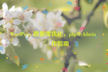 WordPress 數(shù)據(jù)庫優(yōu)化，phpMyAdmin 操作指南