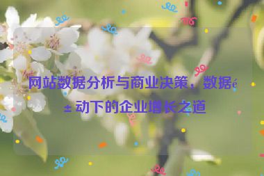 網(wǎng)站數(shù)據(jù)分析與商業(yè)決策，數(shù)據(jù)驅(qū)動下的企業(yè)增長之道