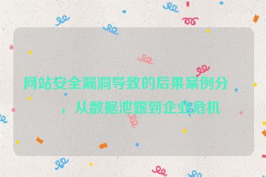 網(wǎng)站安全漏洞導(dǎo)致的后果案例分析，從數(shù)據(jù)泄露到企業(yè)危機(jī)