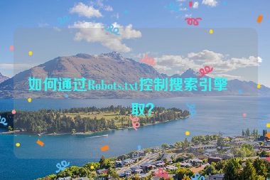 如何通過Robots.txt控制搜索引擎爬??？