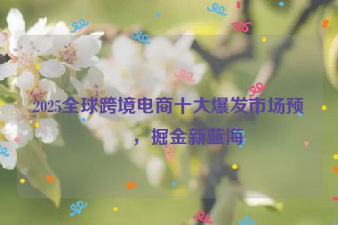 2025全球跨境電商十大爆發(fā)市場預測，掘金新藍海
