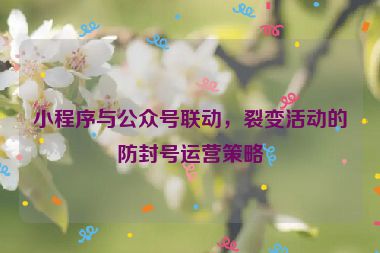 小程序與公眾號聯(lián)動，裂變活動的防封號運營策略
