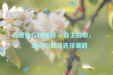 百度推廣代理商 vs 自主投放，優(yōu)缺點(diǎn)對(duì)比及選擇策略