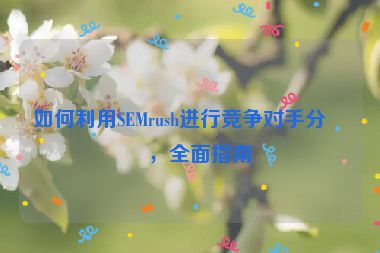 如何利用SEMrush進(jìn)行競(jìng)爭(zhēng)對(duì)手分析，全面指南