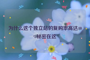 為什么這個獨立站的復(fù)購率高達(dá)40%秘密在這