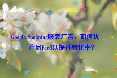 Google Shopping服裝廣告，如何優(yōu)化產(chǎn)品Feed以提升轉(zhuǎn)化率？