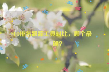 SEO排名跟蹤工具對比，哪個最準確？
