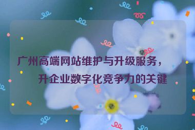 廣州高端網(wǎng)站維護(hù)與升級(jí)服務(wù)，提升企業(yè)數(shù)字化競(jìng)爭(zhēng)力的關(guān)鍵