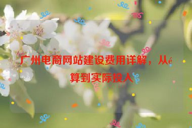 廣州電商網(wǎng)站建設(shè)費用詳解，從預(yù)算到實際投入