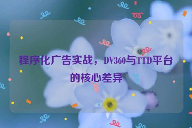 程序化廣告實戰(zhàn)，DV360與TTD平臺的核心差異