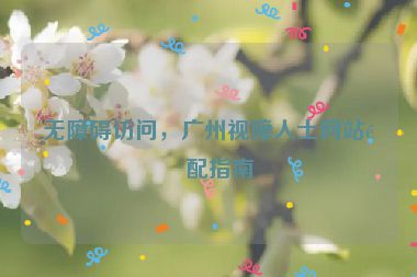無障礙訪問，廣州視障人士網(wǎng)站適配指南