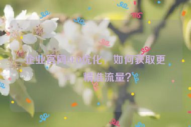 企業(yè)官網(wǎng)SEO優(yōu)化，如何獲取更多精準(zhǔn)流量？