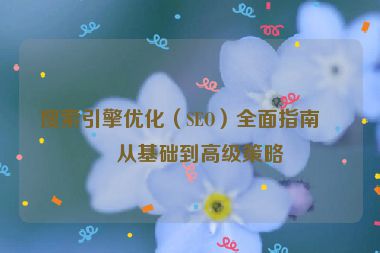 搜索引擎優(yōu)化（SEO）全面指南，從基礎(chǔ)到高級(jí)策略