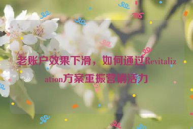 老賬戶效果下滑，如何通過Revitalization方案重振營(yíng)銷活力