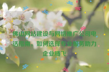 佛山網(wǎng)站建設(shè)與網(wǎng)絡(luò)推廣公司電話(huà)指南，如何選擇專(zhuān)業(yè)服務(wù)助力企業(yè)騰飛