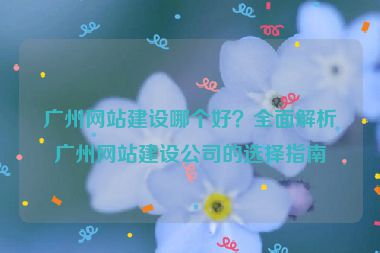 廣州網(wǎng)站建設(shè)哪個(gè)好？全面解析廣州網(wǎng)站建設(shè)公司的選擇指南