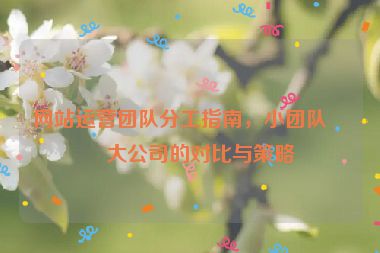 網(wǎng)站運營團隊分工指南，小團隊與大公司的對比與策略