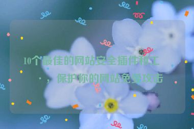 10個最佳的網(wǎng)站安全插件和工具，保護你的網(wǎng)站免受攻擊