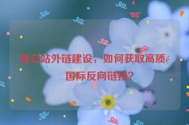 獨(dú)立站外鏈建設(shè)，如何獲取高質(zhì)量國際反向鏈接？