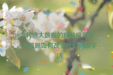 210個利用大數(shù)據(jù)的網(wǎng)站應用案例，大數(shù)據(jù)如何改變我們的數(shù)字生活