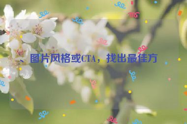 、圖片風(fēng)格或CTA，找出最佳方案