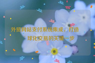 外貿網站支付系統(tǒng)集成，打造全球化交易的關鍵一步