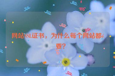 網(wǎng)站SSL證書，為什么每個網(wǎng)站都需要？