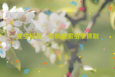 或空標(biāo)簽，影響搜索引擎抓取