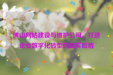佛山網(wǎng)站建設(shè)與維護(hù)公司，打造企業(yè)數(shù)字化轉(zhuǎn)型的堅實(shí)后盾