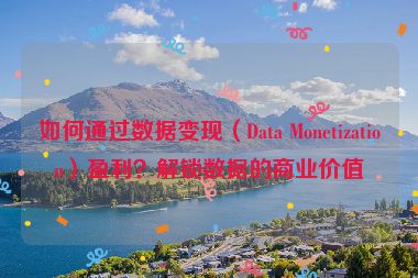 如何通過數(shù)據(jù)變現(xiàn)（Data Monetization）盈利？解鎖數(shù)據(jù)的商業(yè)價值